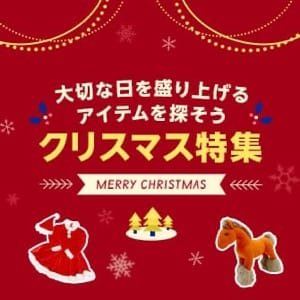 大切な日を盛り上げるアイテムを探そう クリスマス特集 MERRY CHRISTMA